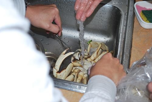 DSC_0029.JPG