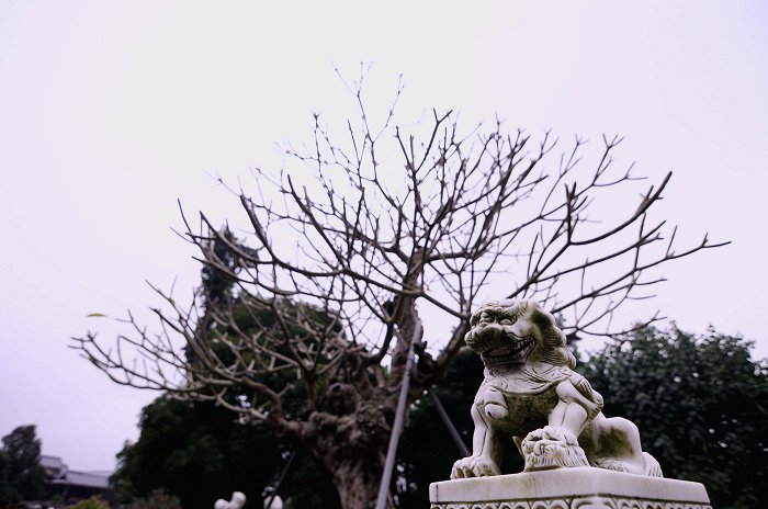 s_DSC_6371