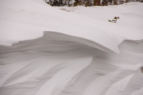 DSC_1358.JPG