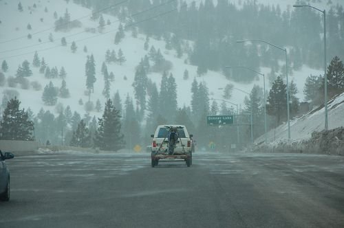 DSC_1613.JPG