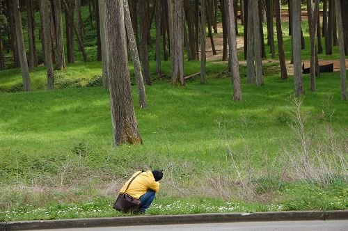DSC_1116.JPG