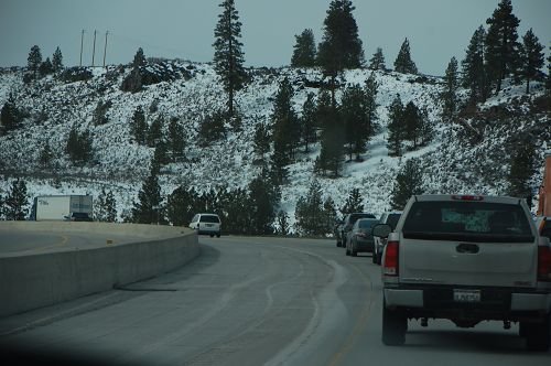 DSC_1593.JPG