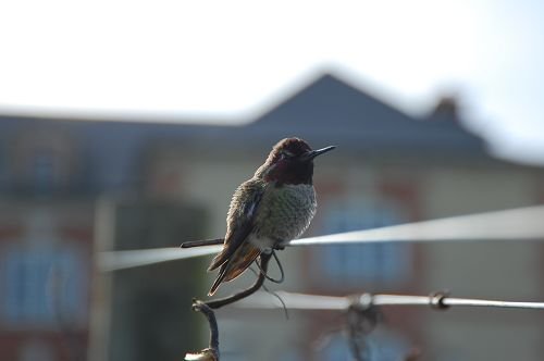 DSC_0854.JPG