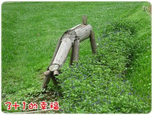 IMG_2117.JPG
