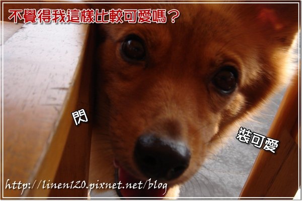 DSC08065.JPG