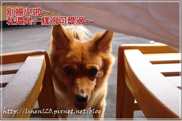 DSC08068.JPG