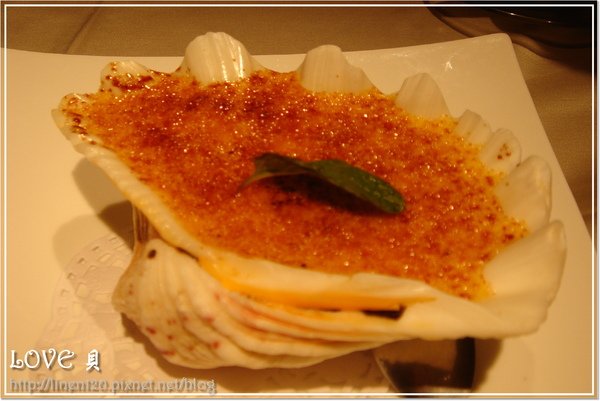DSC08133.JPG