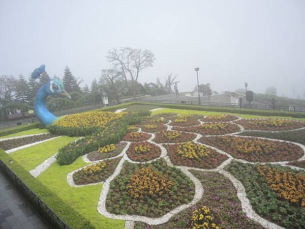 DSCN0600.JPG