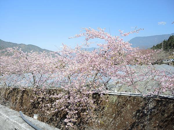 DSCN9977.JPG