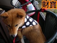 財寶.jpg