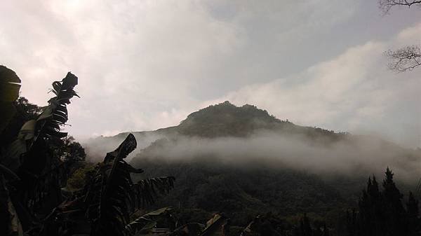 IMAG5227
