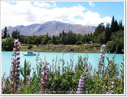 laketekapo8.jpg