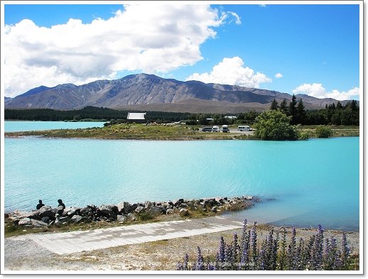 laketekapo3.jpg