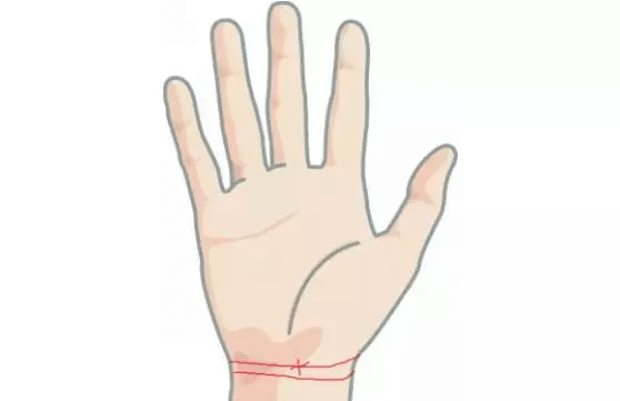 hand_01.png