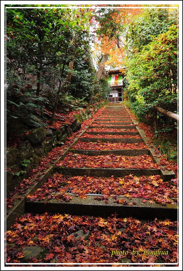 京都光明寺(15).jpg