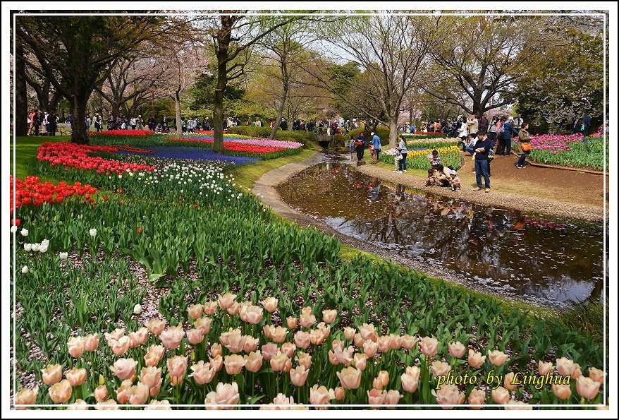 日本昭和紀念公園(9).JPG