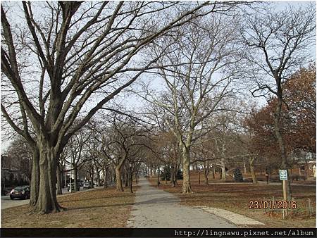 PhotoWindow_20160123024833.jpg