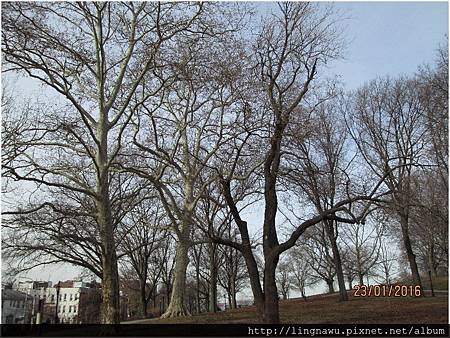 PhotoWindow_20160123031607.jpg