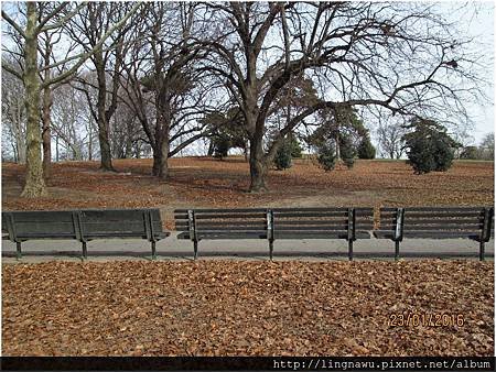 PhotoWindow_20160123031728.jpg
