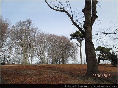PhotoWindow_20160123031846.jpg