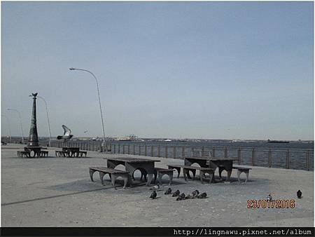 PhotoWindow_20160123032417.jpg