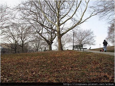 PhotoWindow_20160123032016.jpg