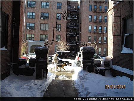 PhotoWindow_20160125030604.jpg