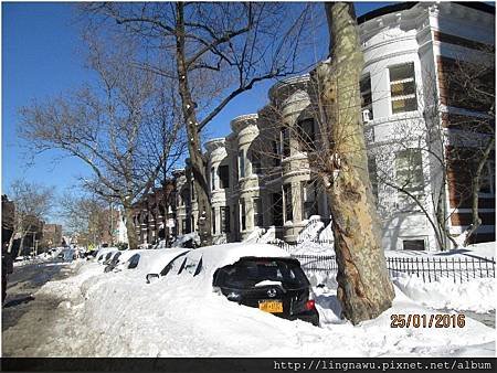 PhotoWindow_20160125030734.jpg