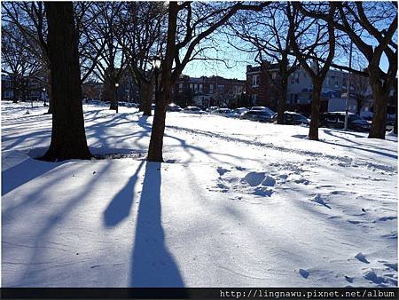PhotoWindow_20160125094932.jpg