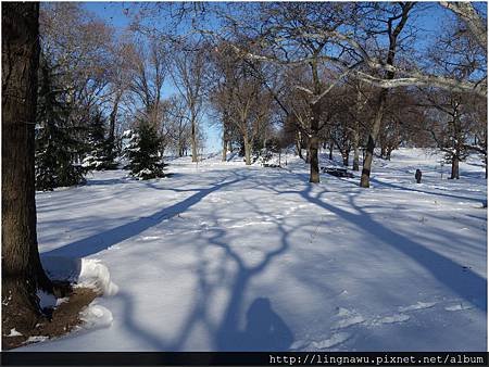 PhotoWindow_20160125095127.jpg