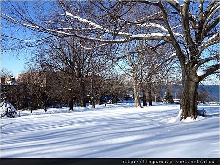 PhotoWindow_20160125095439.jpg