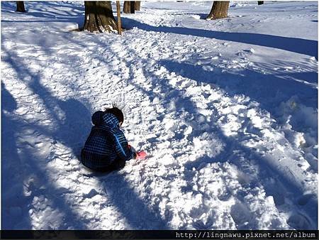 PhotoWindow_20160125095727.jpg