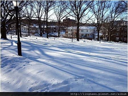 PhotoWindow_20160125095529.jpg