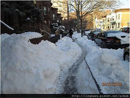 PhotoWindow_20160126000844.jpg