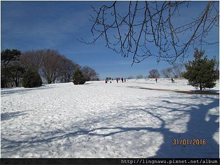 PhotoWindow_20160131075805.jpg