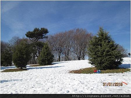 PhotoWindow_20160131075915.jpg