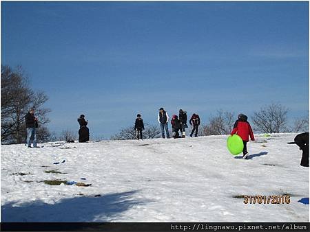 PhotoWindow_20160131075947.jpg