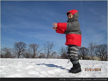 PhotoWindow_20160131080156.jpg