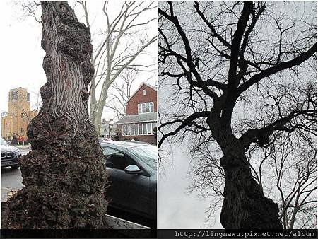PhotoWindow_20160209001221.jpg