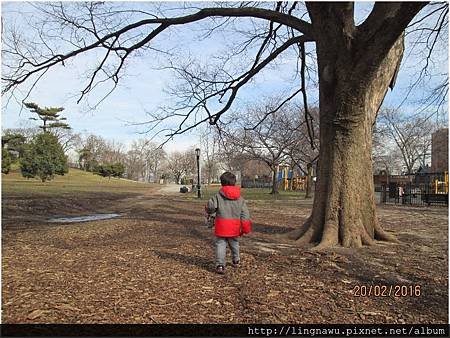 PhotoWindow_20160220014042.jpg