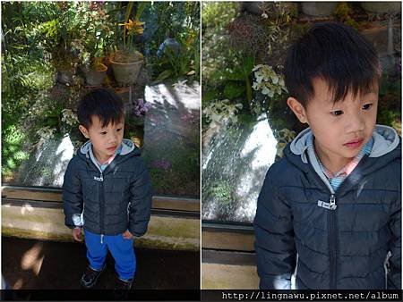 PhotoWindow_20160301103619.jpg
