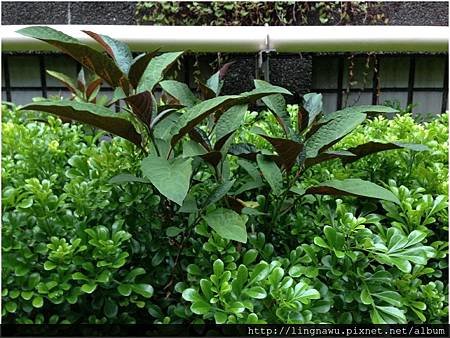 PhotoWindow_20160908154904.jpg