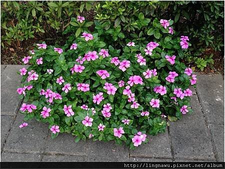 PhotoWindow_20160908154829.jpg
