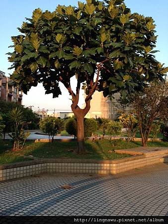 IMG_2598.JPG