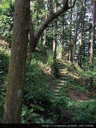 IMG_2576.JPG
