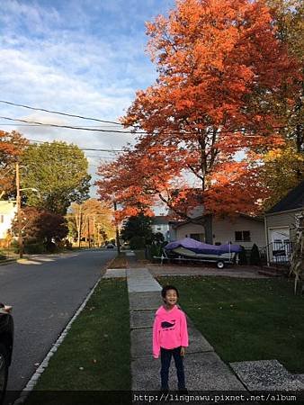 IMG_4188.JPG