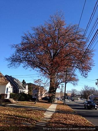 IMG_5257.JPG