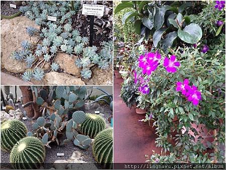 PhotoWindow_20171215232456.jpg