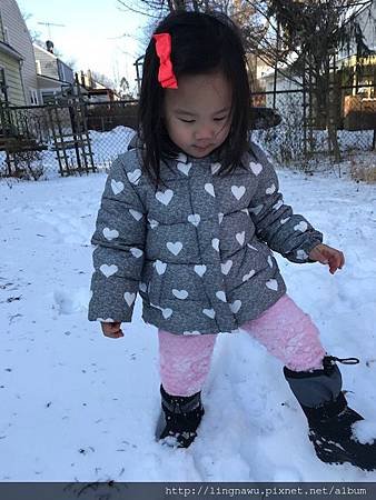 IMG_1163.jpg