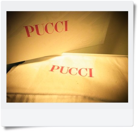 pucci 10.JPG